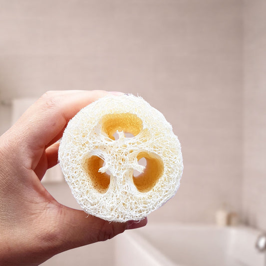 Big Body Cucumber Loofah