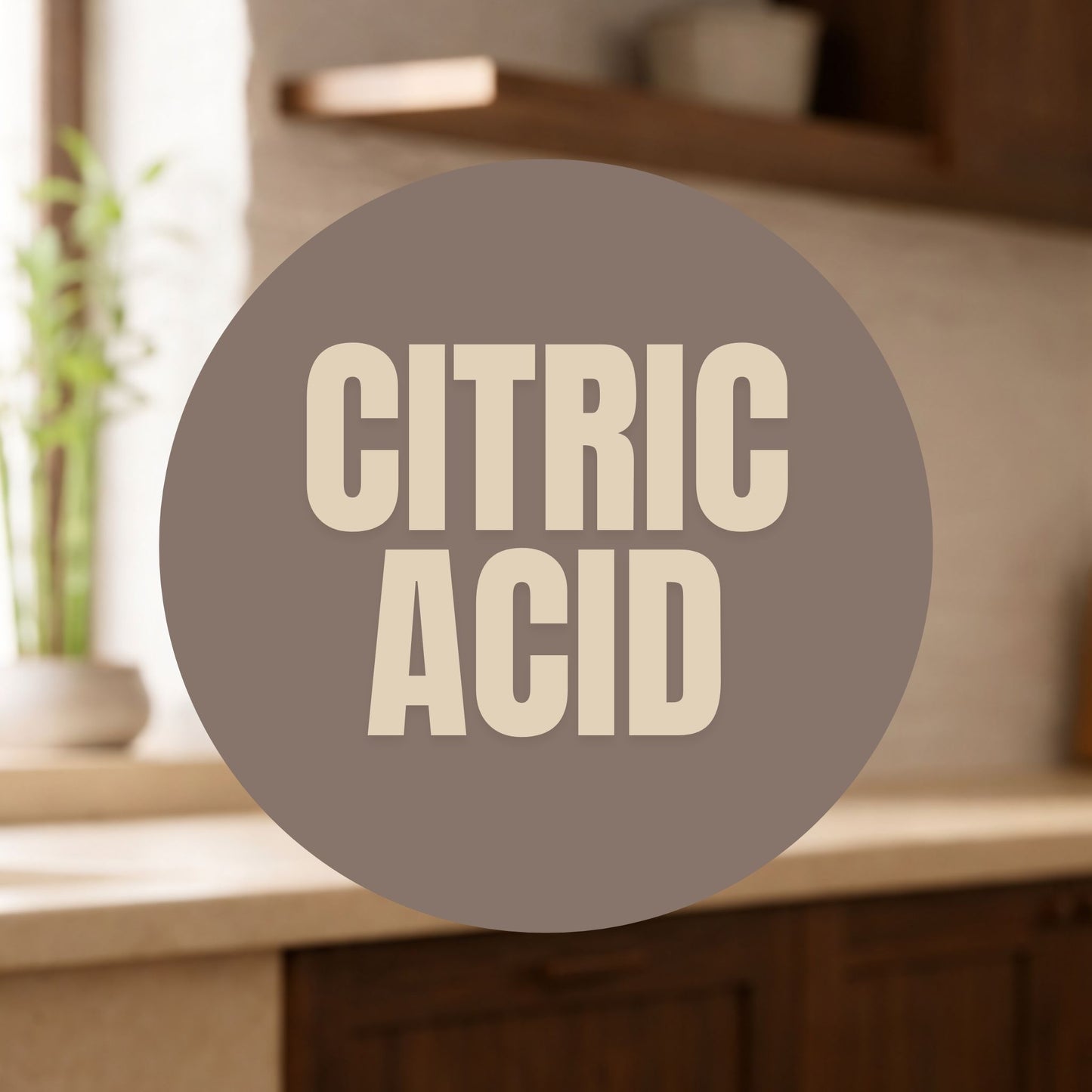 1 kg Citric Acid (organic)